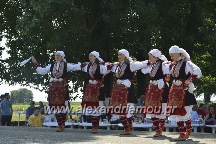 alexandriamou.gr_trikala28.5.2018113